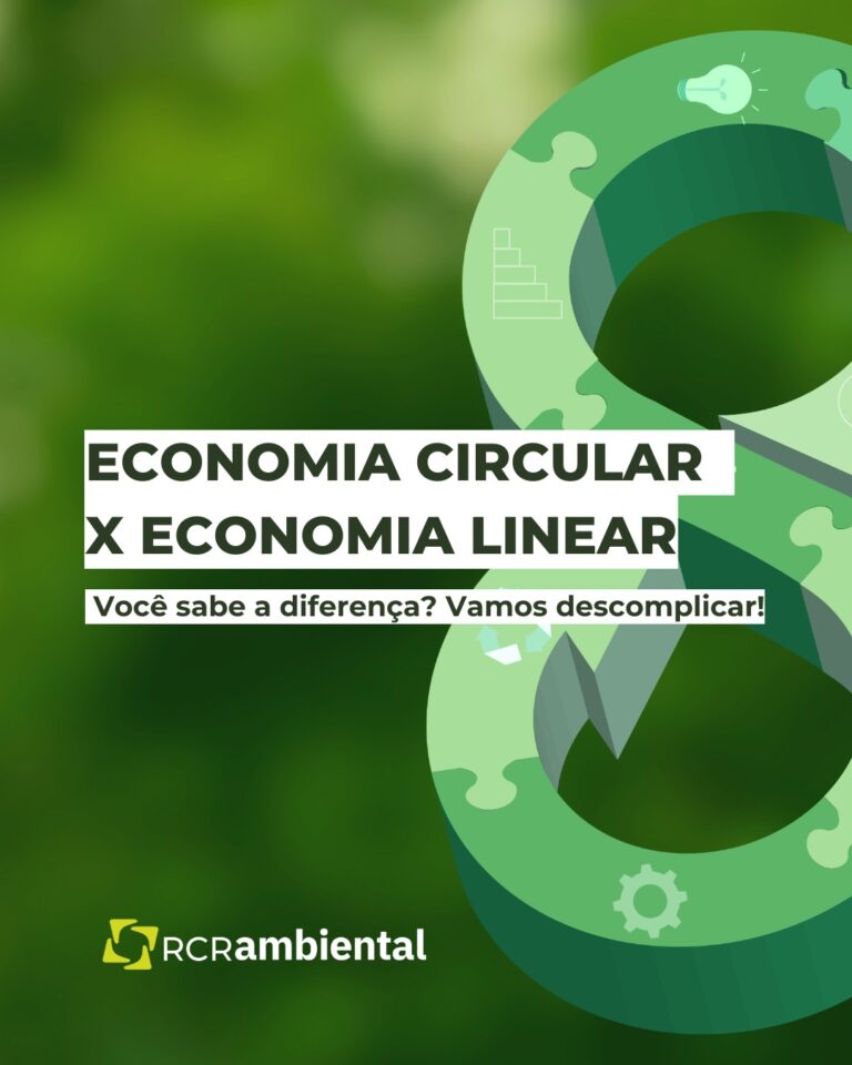 Impacto que o modelo econômico - RCR